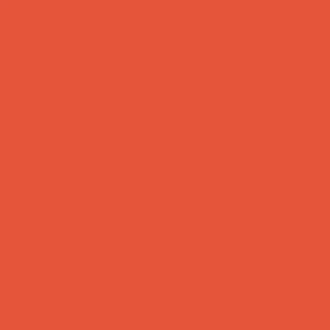 Dye Chip-Autumn Orange-100 unit