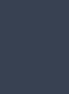Dye Chip-Navy Blue-100 unit
