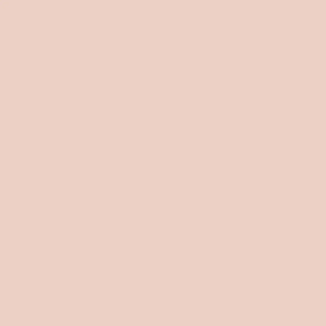 Dye Chip-Pale Pink-100 unit