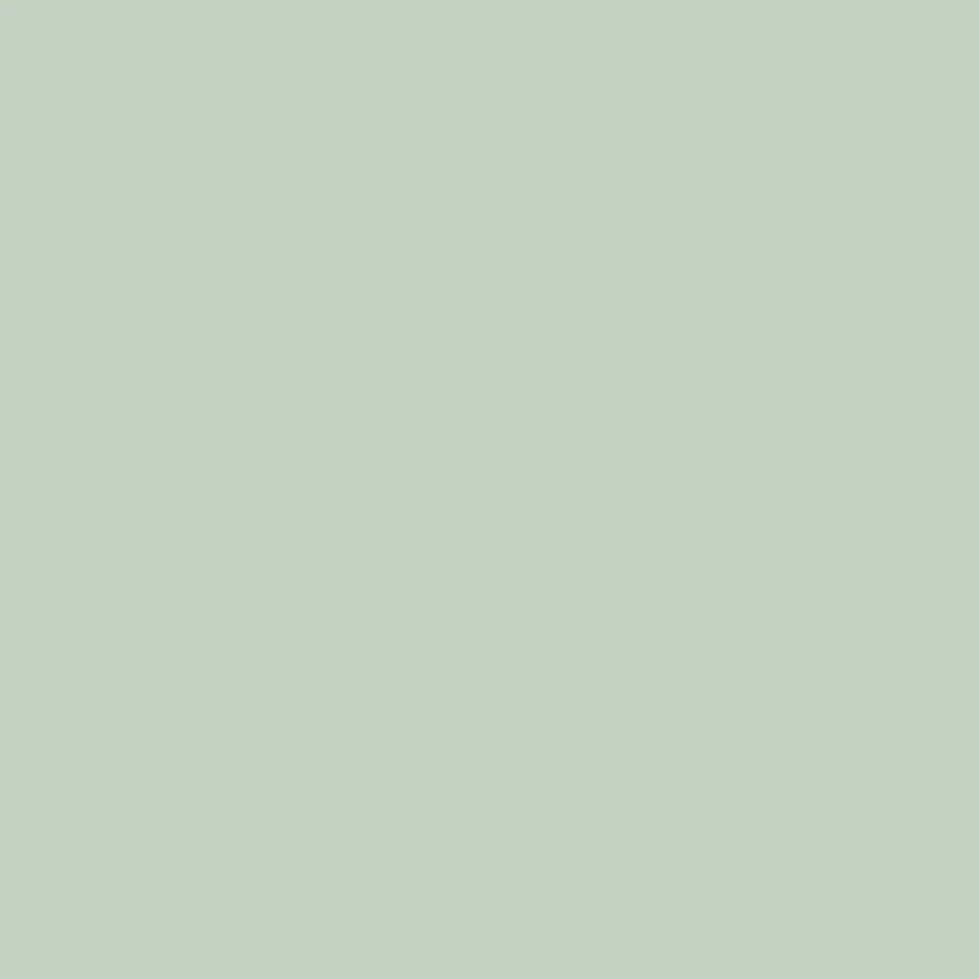 Dye Chip-Aqua Marine-100 unit