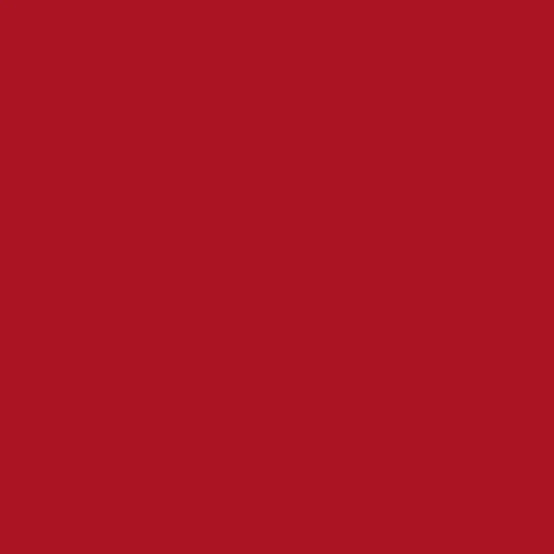 Dye Chip-Ruby Red-100 unit
