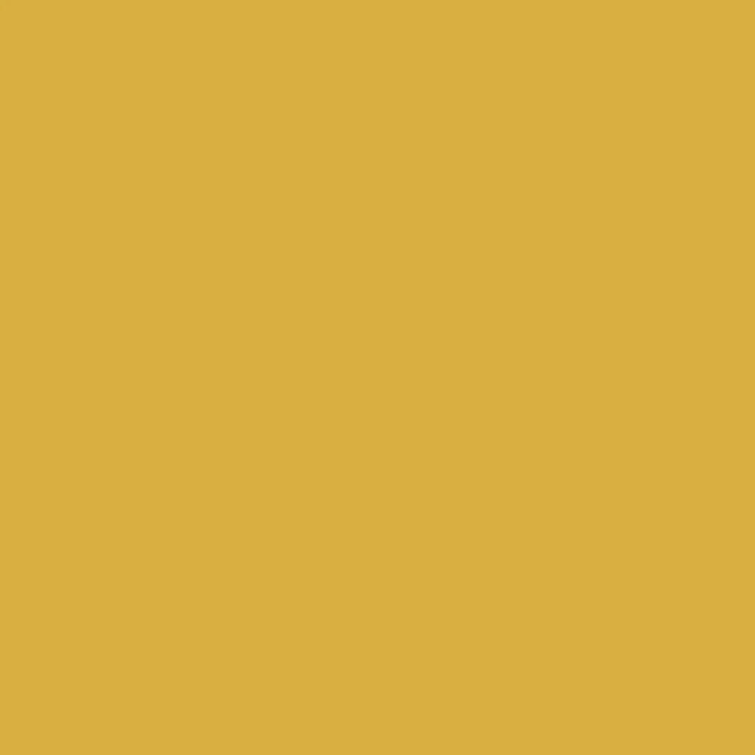 Dye Blocks-Golden Honey-10 unit