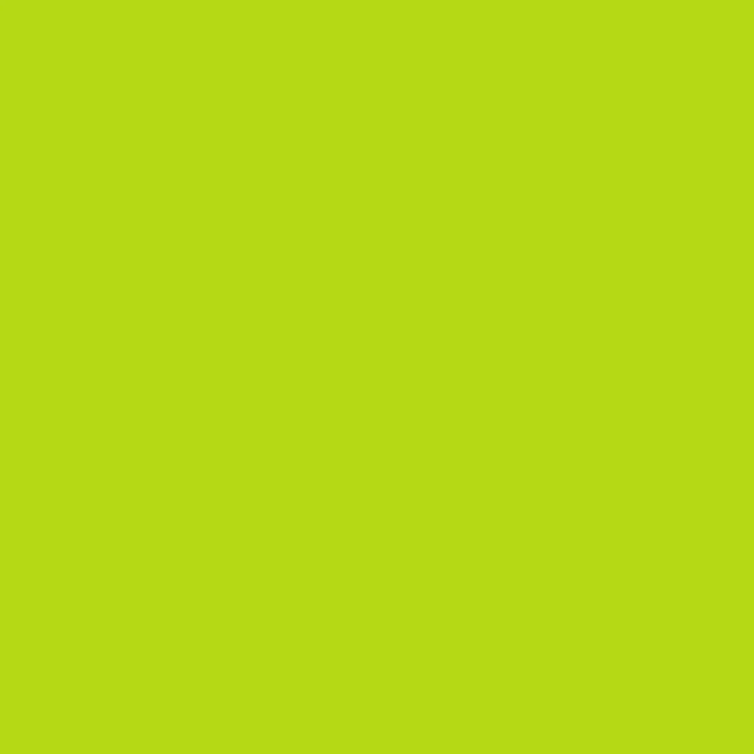 Dye Blocks-Lime Green-10 unit