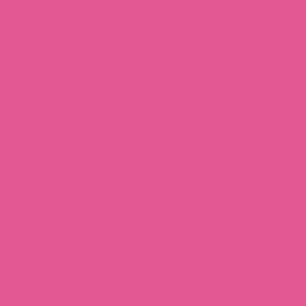 Dye Blocks-Raspbarry Sorbet-10 unit