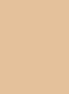 Dye Chip-Rust-100 unit