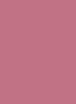 Dye Chip-Shocking Pink-100 unit