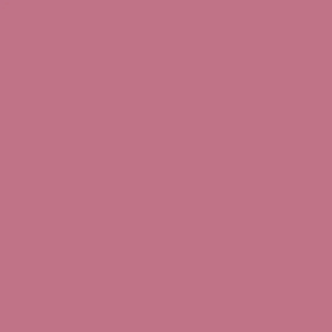Dye Chip-Shocking Pink-100 unit